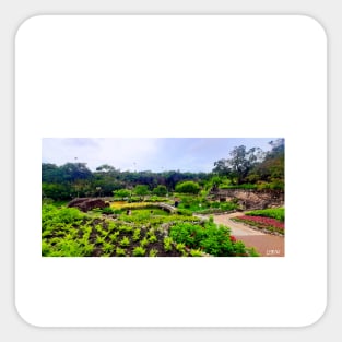 zen garden in japanese wetland park photograph art Sticker